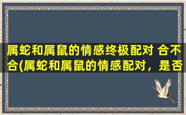 属蛇和属鼠的情感终极配对 合不合(属蛇和属鼠的情感配对，是否靠谱？)